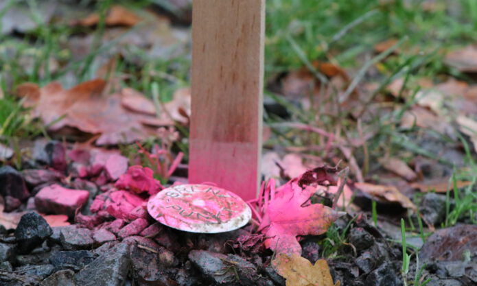 Markierung Grenzpunkt bei Grenzvermessung